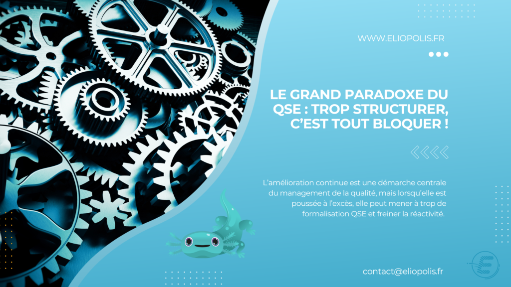 Formalisation QSE Saône et Loire