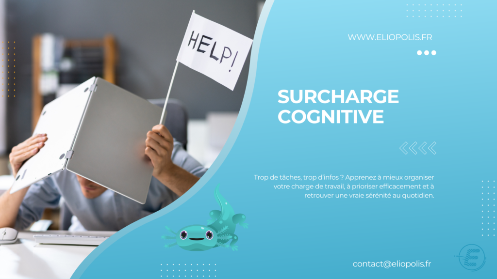 coaching QSE Saône-et-Loire