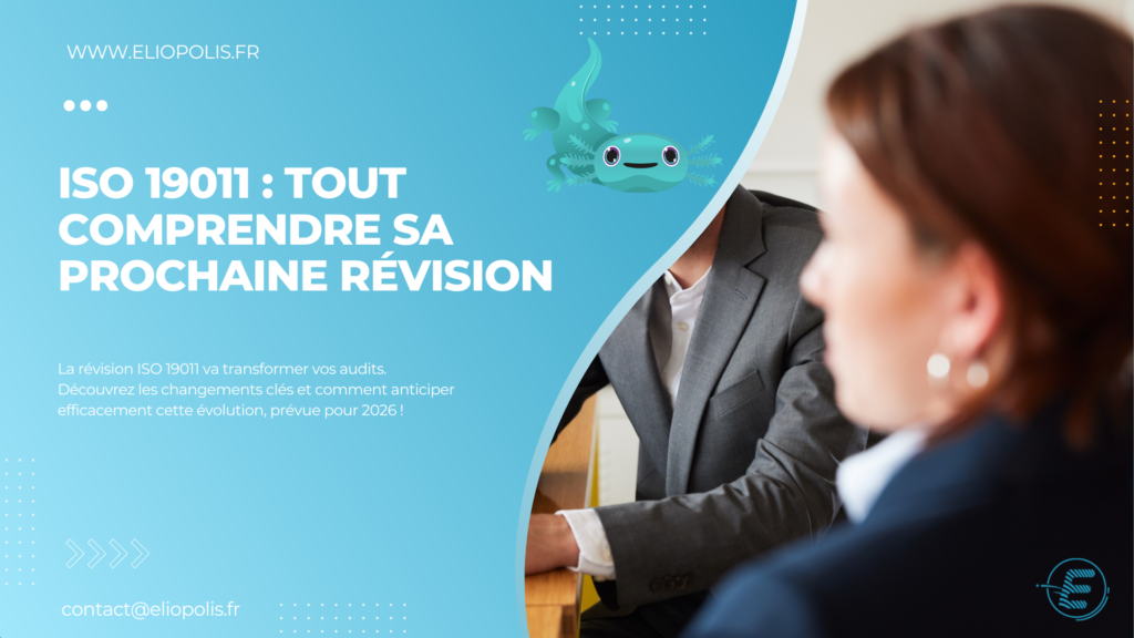 Révision ISO 19011